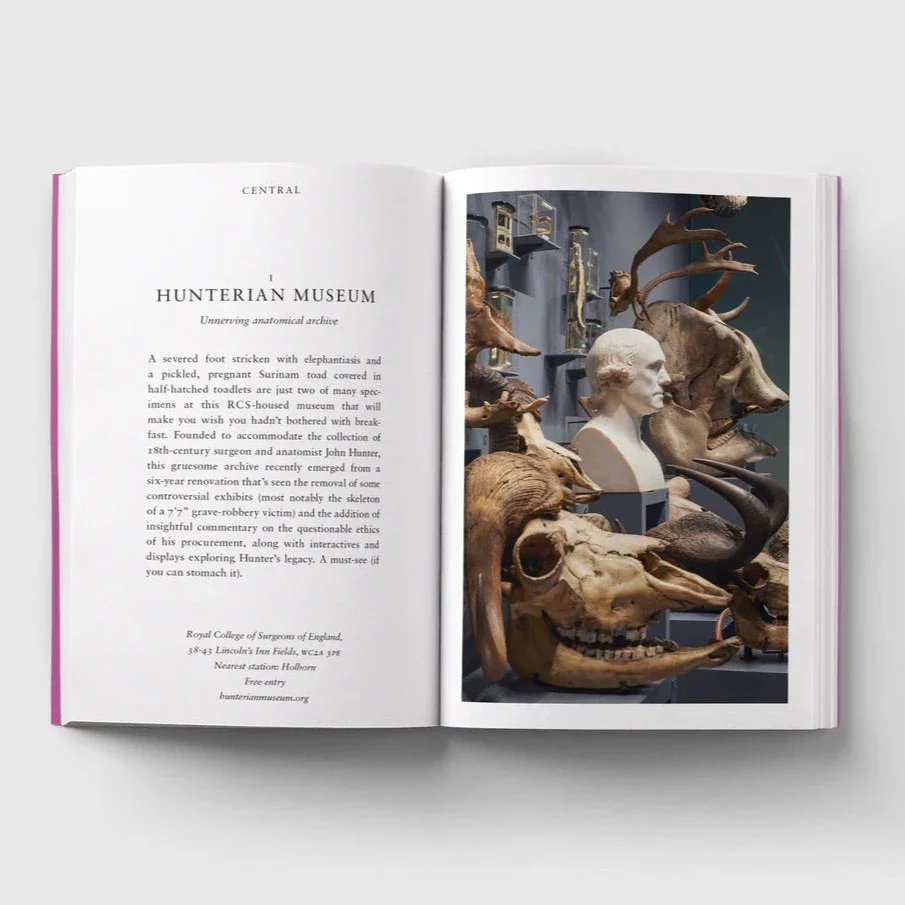 An Opinionated Guide to London Museums - Image 4